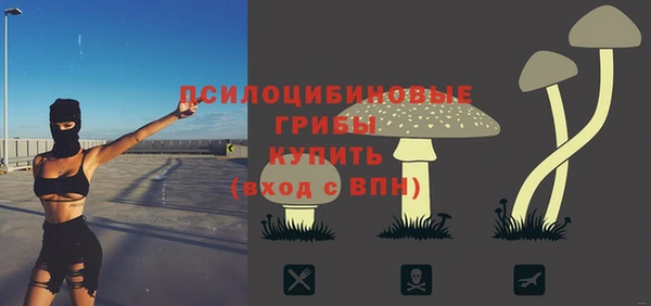 сатива Семикаракорск