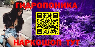 молекула духа Кандалакша