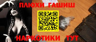 сатива Камышлов