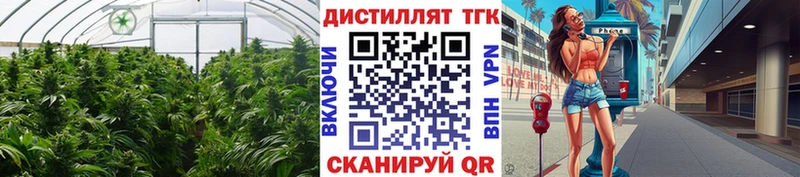 ТГК жижа Курчатов