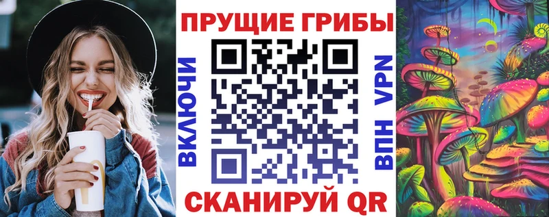 KRAKEN ТОР  Курчатов  Галлюциногенные грибы Magic Shrooms 