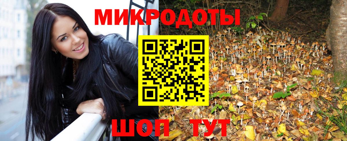 Псилоцибиновые грибы мухоморы  Псилоцибиновые грибы MAGIC MUSHROOMS  Курчатов  Вход с VPN 