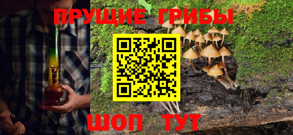 Галлюциногенные грибы MAGIC MUSHROOMS Курчатов